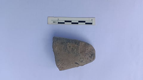 The remains of a stone axe