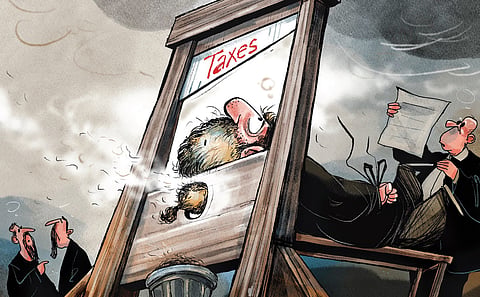 Unexpected lessons from odd taxes