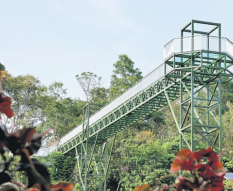 Glass bridge in Akkulam tourist village in Thiruvananthapuram