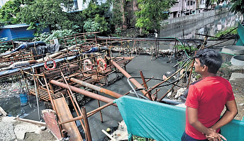 Mambalam canal, a five-km-long waterbody that drains into Adyar river, is the disposal point for all stormwater drains in the locality, including T Nagar