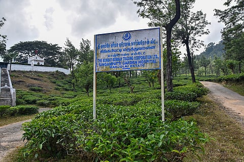  Manjolai tea estate 