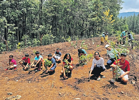 Children plant saplings at H Pallakkihara using Miyawaki method