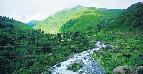 Muse of the mountains 