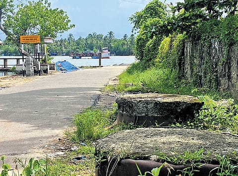 The remains of the soil testing process at the proposed site