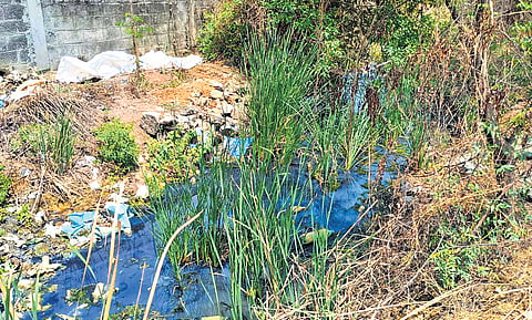 The factories have allegedly been letting out sewage to Periya Kulam 