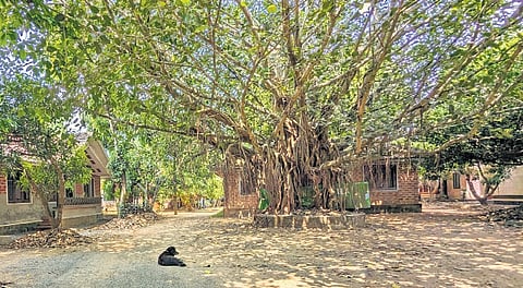 Moozhikulam Sala