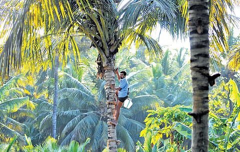 Farmers have been making this demand for over two decades