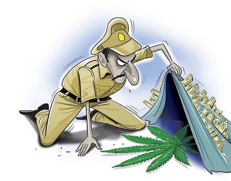 Ganja