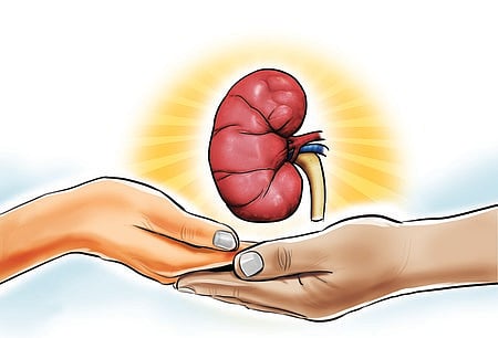 The panel’s report, details of which were released on Sunday, revealed that activities by both the hospitals violated the Transplantation of Human Organs and Tissues Act, 1994