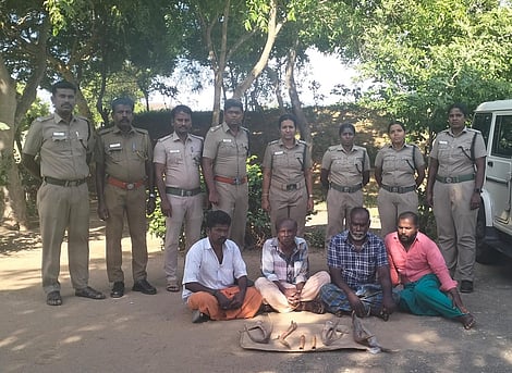 The forest department arrested a gang of four who smuggled elephant tusks and deer horns with the intention of sale near Dharapuram in Tiruppur district.