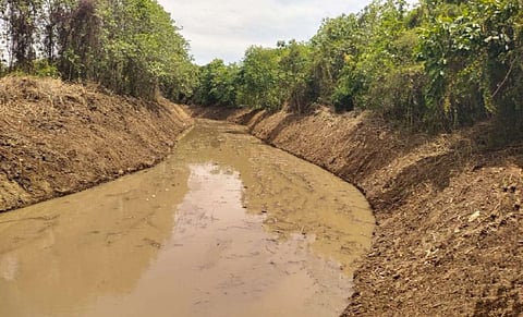 Manjalar River in Mayiladuthurai after the desilting work 