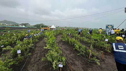 Under the nationwide campaign, 140 crore trees will be planted across the country, including 5.5 crore in Madhya Pradesh, out of which 51 lakh will be in Indore, which is MP’s most populated city.