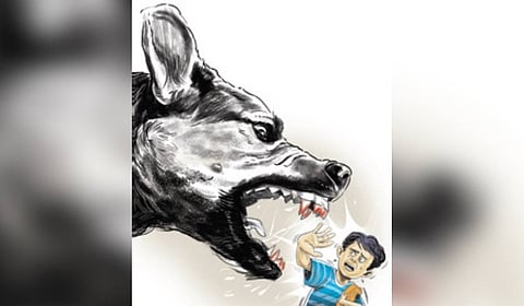 Image used for representational purpose.