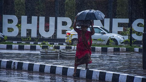 Odisha rains