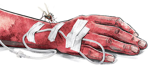 Dengue Fever