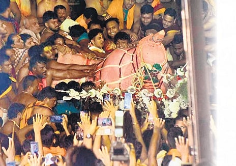 Rath yatra