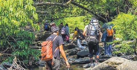 Officials recently held a training programme for tribal people to guide the trekkers. 
