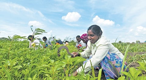 This farm visit was truly worth the time spent, with all the fresh air and diverse experiences. 