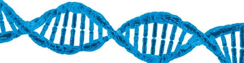 Image used for representation.
