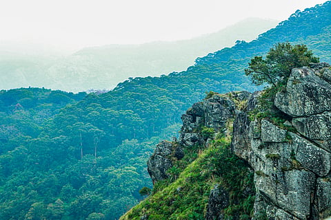 The government plans to open 40 ‘safe’ trekking routes across 15 forest divisions.