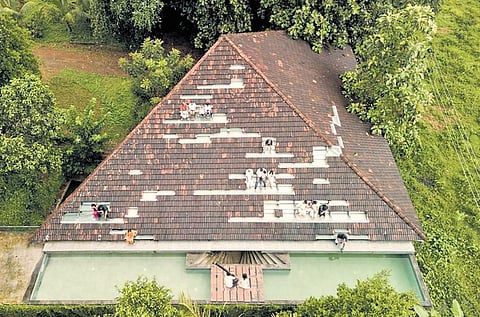  The amphitheatre on the roof of the music hub.