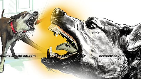 Image used for representational purposes.