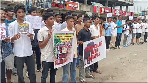 Locals staging a protest on Sunday demanding action. 
