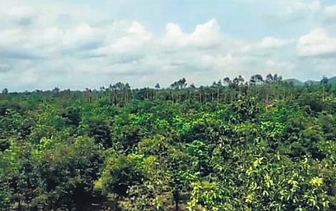 Government sought forest clearances for the construction of the northern part of RRR.