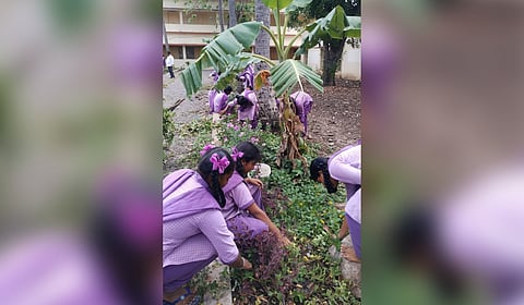 The cultivation of kitchen gardens using natural farming processes on school premises has been initiated by district authorities under the instruction of Collector DK Balaji. 
