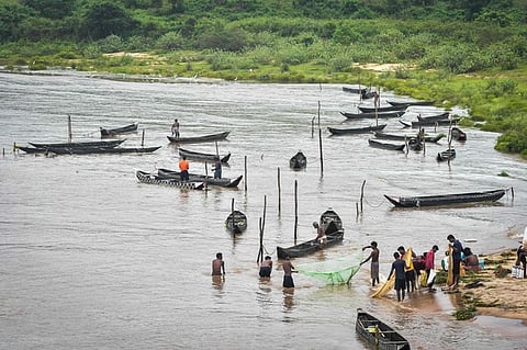 Mahanadi river