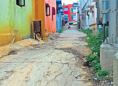 Due to the poor condition of the burial ground on PH Road, residents have to carry bodies through a damaged approach road, negotiating droves of pigs 