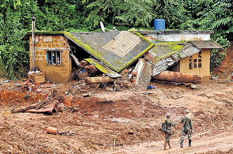 A house that collapsed after an uprooted tree fell on its roof at the landslide-hit Mundakkai near Chooralmala in Wayanad 