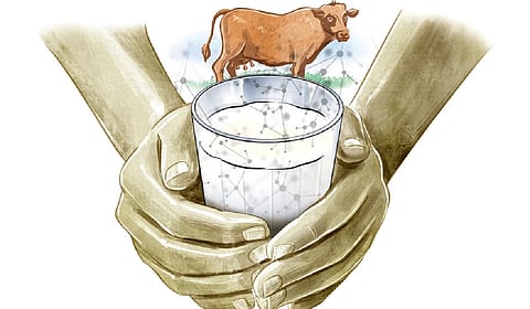 Minister for Dairy Development and Animal Husbandry J Chinchurani launched the projects -- ‘Ksheera Sumangali’, ‘Ksheera Soubhagya’ and ‘Santhwana Sparsham’ -- at a function at Neyyattinkara on Tuesday.