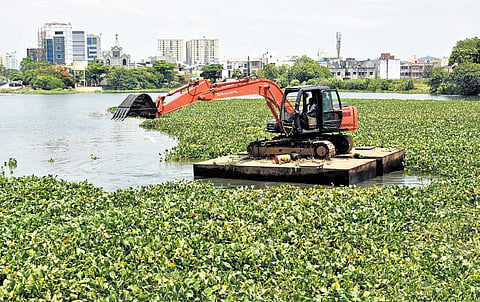 As a part of monsoon preparedness work, Water Resource Department staff clearing water hyacinths at Narayapuram lake in Pallikaranai 
