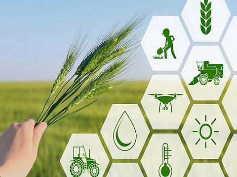 Union cabinet approves Rs.1,765.67 crore Clean Plant Programme to boost horticulture sector