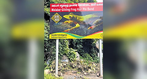 Reflective boards with photographs of birds and amphibians are erected on 40 hairpin bends on Valparai road