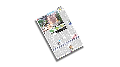 Xplore on Environment