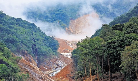 Landslide-hit Punchirimattom area in Wayanad 