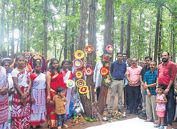 The department will take the initiative to protect the roots and plants of sal and the effort will bear fruit if adequate awareness is created.