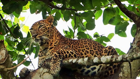 Image used for representational purposes.