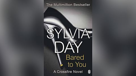 The billion-dollar genre of naughty books