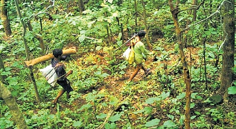 Photograph of the poachers captured by the AI camera inside STR 