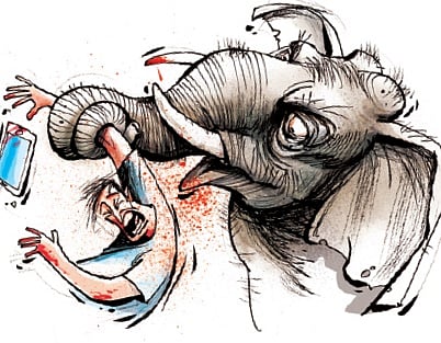 India will be global hotspot for 
human-wildlife conflict by 2070