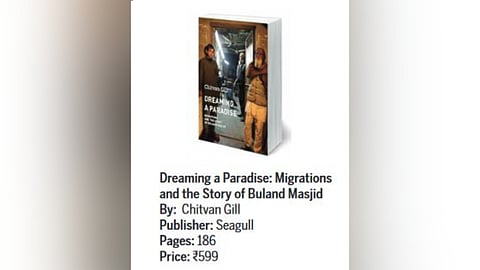 'Dreaming a Paradise' book review:  Insightful, thought-provoking and unsettling