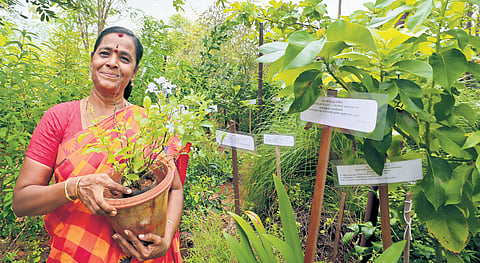 Subashree has around 500 varieties of herbs in her garden, making it a resource centre for researchers