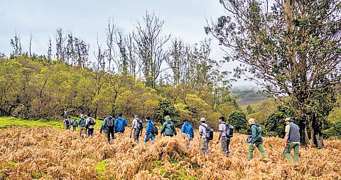They will be accompanied by tribal guides. 