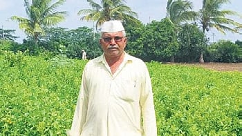 Birappa Waggi, a lemon farmer from Tamba village in Indi taluk, at his nursery.