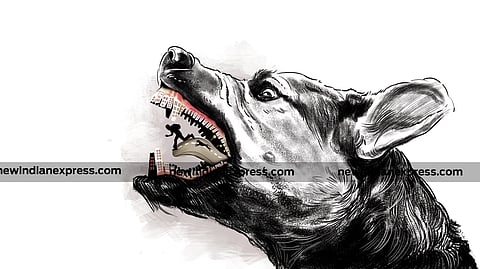 Stray dog, Rabies