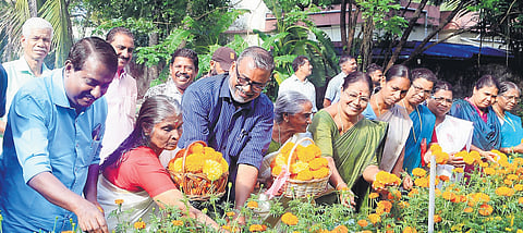 Agriculture Minister P Prasad harvesting flowers at his house at Cherthala on Monday 