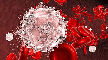 Image of white blood cell used for representational purposes only.